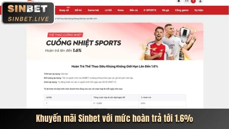 Cá cược các môn thể thao khác we1win
